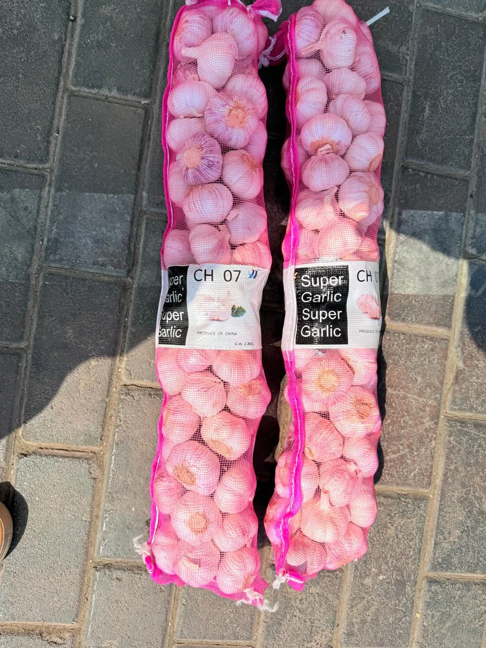 Garlic